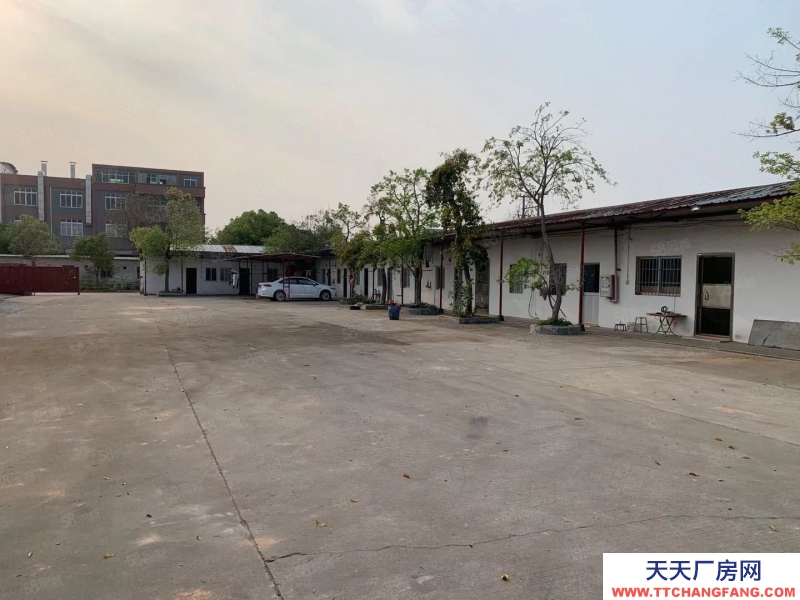 (出租) 江門臺山水步鎮獨院單一層廠房倉庫6000，空地3000出租