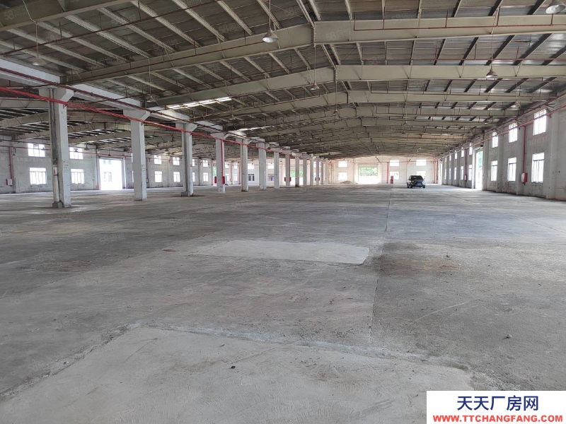 (出租) 江門臺山水步鎮獨院單一層廠房倉庫6000，空地3000出租