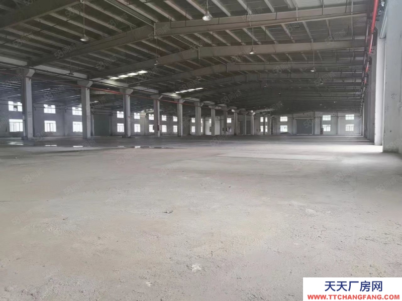 (出租) 江門水步7000方單一層磚墻到頂空地大廠房出租