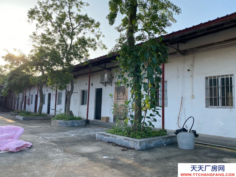 (出租) 江門臺山獨院磚墻單一層廠房出租空地3000平方配套宿舍辦公室