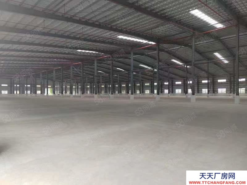 (出租) 臺山市標準鋼結構新建單一層