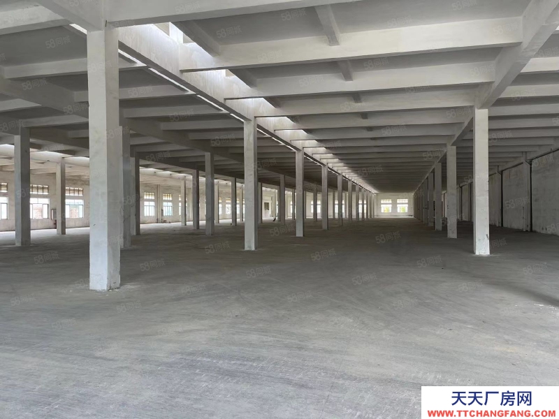 (出租) 江門開平三類工業(yè)用地10元廠房，條件寬松，年限長