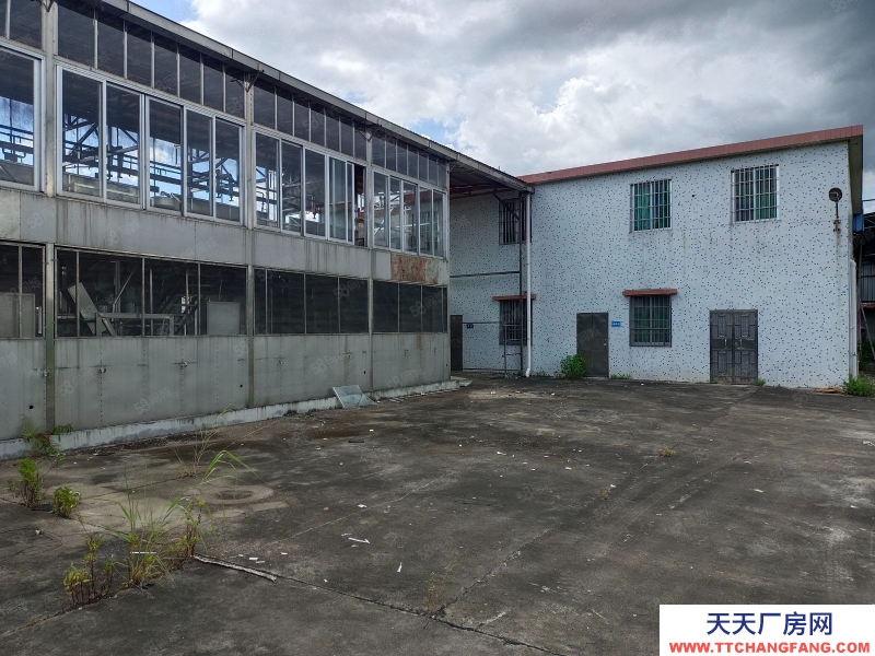 (出租) 江門(mén)低價(jià)5元方,獨(dú)門(mén)獨(dú)院,鶴城共和交界舊廠房連水泥地,按需求分租