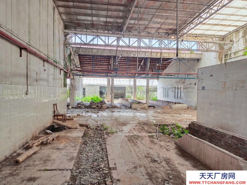 (出租) 江門(mén)低價(jià)5元方,獨(dú)門(mén)獨(dú)院,鶴城共和交界舊廠房連水泥地,按需求分租