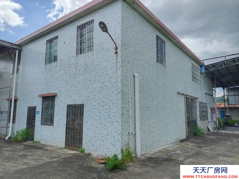 (出租) 江門(mén)低價(jià)5元方,獨(dú)門(mén)獨(dú)院,鶴城共和交界舊廠房連水泥地,按需求分租