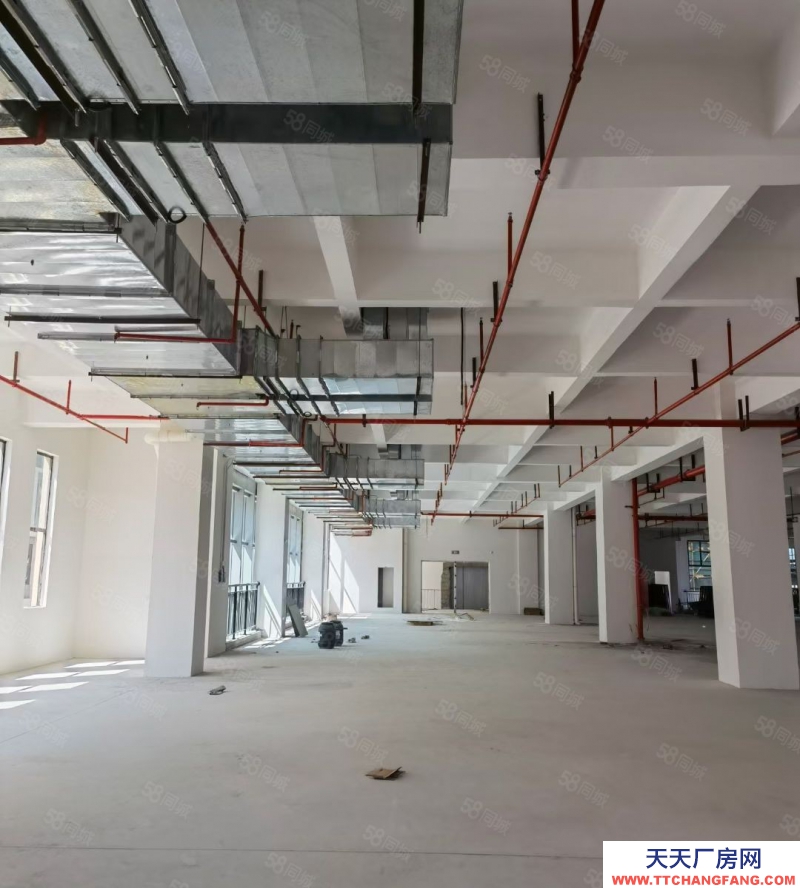 (出租) 江門(mén)鶴山市鶴城鎮(zhèn)325國(guó)道邊獨(dú)院花園式45000平方廠房出租