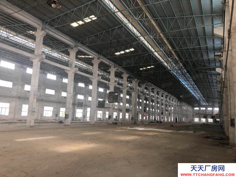 (出租) 江門鶴山市沙坪鎮(zhèn)南工業(yè)城獨院單一層出租(可分租)