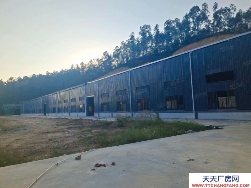(出租) 江門(mén)鶴山獨(dú)院全新廠房出租！！