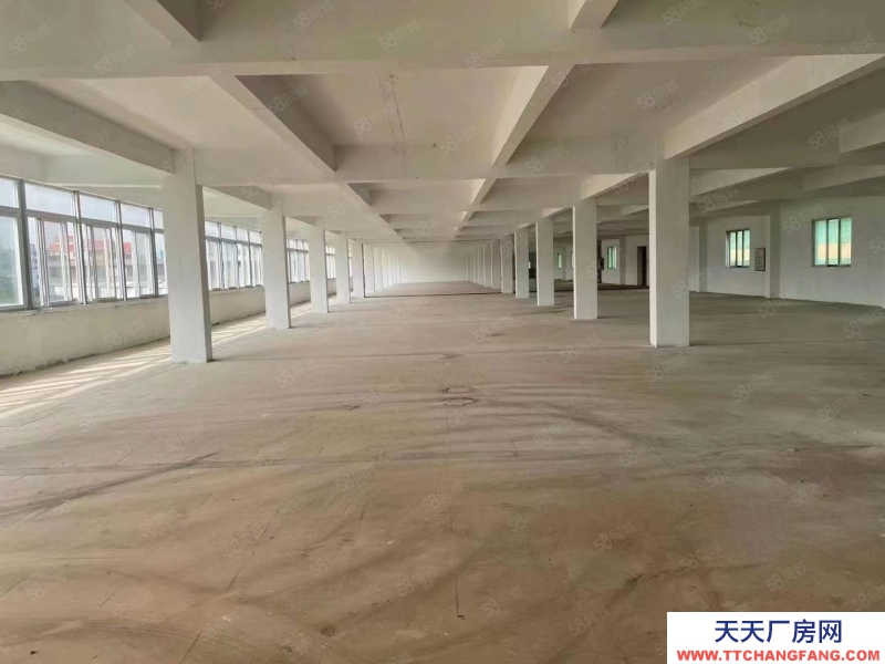 (出租) 江門(mén)鶴山雅瑤獨(dú)院廠房水泥結(jié)構(gòu)10元！