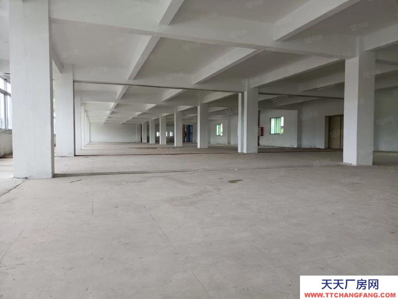 (出租) 江門鶴山雅瑤獨(dú)院廠房水泥結(jié)構(gòu)10元!