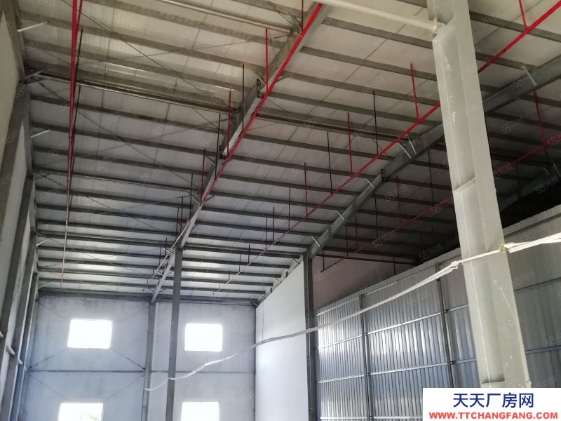 (出租) 江門恩平鋼架結(jié)構(gòu)10米高一樓廠房招租，適合五金沖壓生產(chǎn)流水線