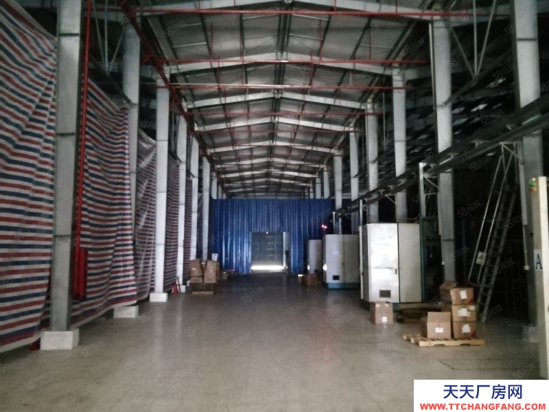 (出租) 江門恩平鋼架結構10米高一樓廠房招租，適合五金沖壓生產(chǎn)流水線