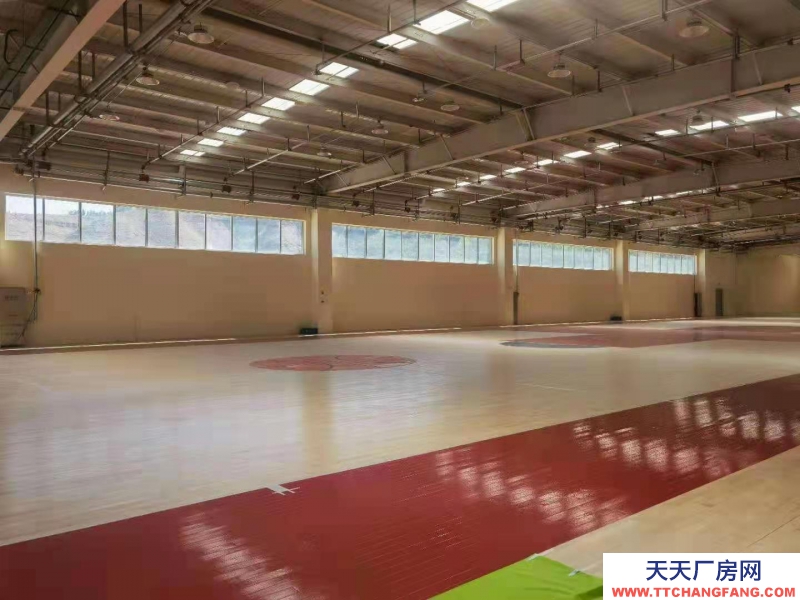 西寧城中南川東路體育基地、培訓場地出租