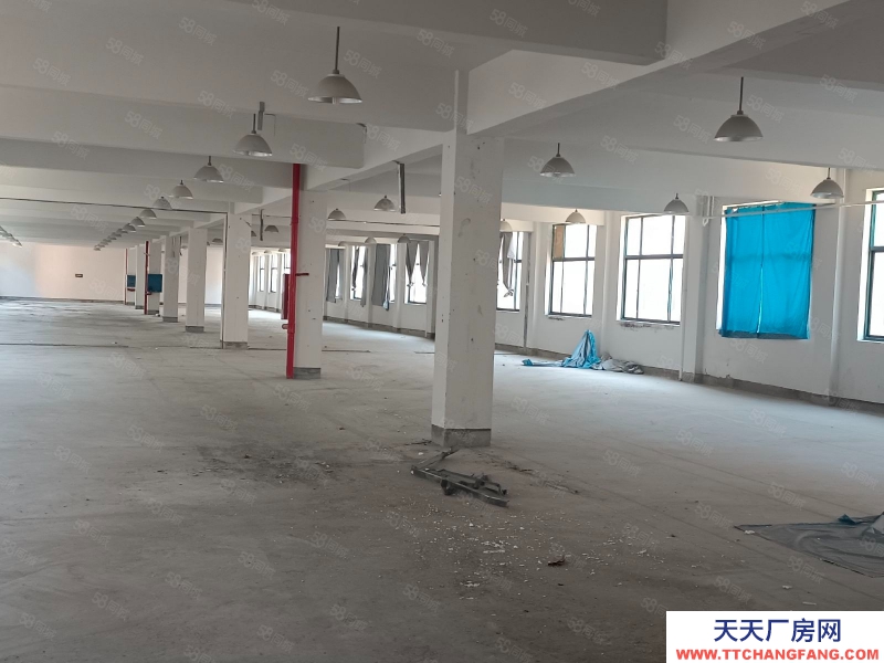 (出租) 超劃算，出租練市獨門獨院單層10000方，院內11畝可建硬化