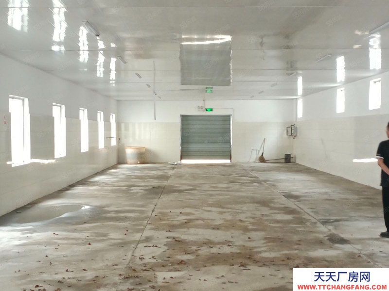 (出租) 超劃算,出租練市獨門獨院單層10000方,院內(nèi)11畝可建硬化