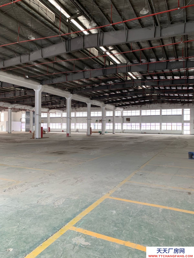 (出租) 出租非中介潯織路188號(hào)標(biāo)準(zhǔn)廠(chǎng)房出租 場(chǎng)地大