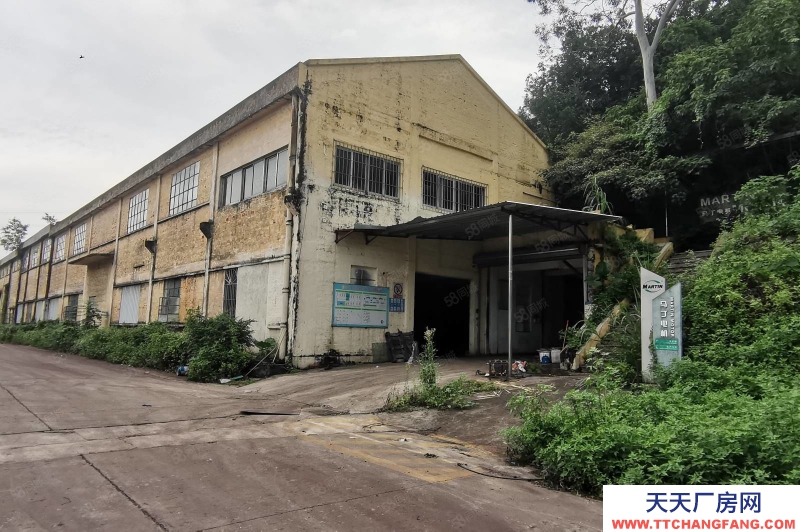 (出租) 江門白沙遠洋冷庫旁8000平米倉庫出租,可分租300起拖掛車可進