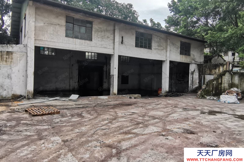 (出租) 江門白沙遠洋冷庫旁8000平米倉庫出租,可分租300起拖掛車可進