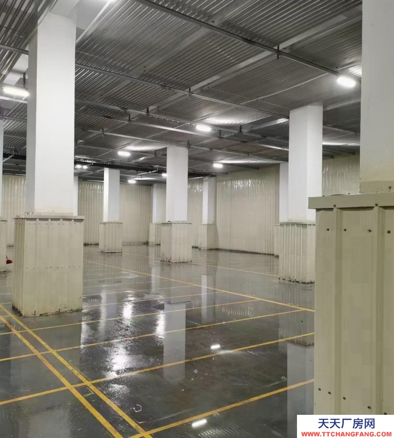 (出租) 江門蓬江低溫儲倉冷庫食品，交通方便，配套齊全完善