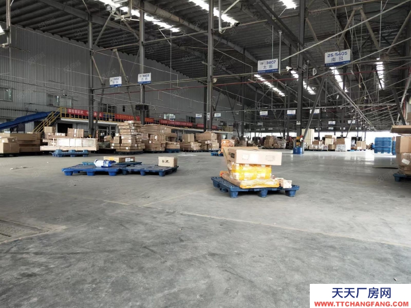 (出租) 江門江海高新區(qū)高速出口附近高臺(tái)倉(cāng)物流園17000平方,丙二類消防