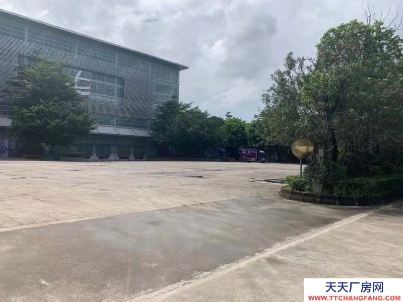 (出租) 江門江海區(qū)高新區(qū)6500平單一層倉(cāng)庫(kù)出廠房出租臨時(shí)倉(cāng)庫(kù)出租可分租