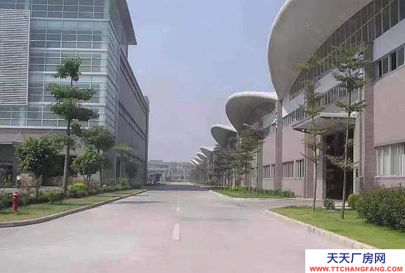 (出租) 江門江海區(qū)高新區(qū)6500平單一層倉(cāng)庫(kù)出廠房出租臨時(shí)倉(cāng)庫(kù)出租可分租