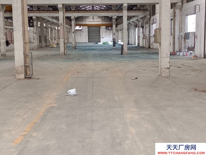 (出租) 江門(mén)江海超靚鋼構(gòu)單一層倉(cāng)庫(kù)出租!