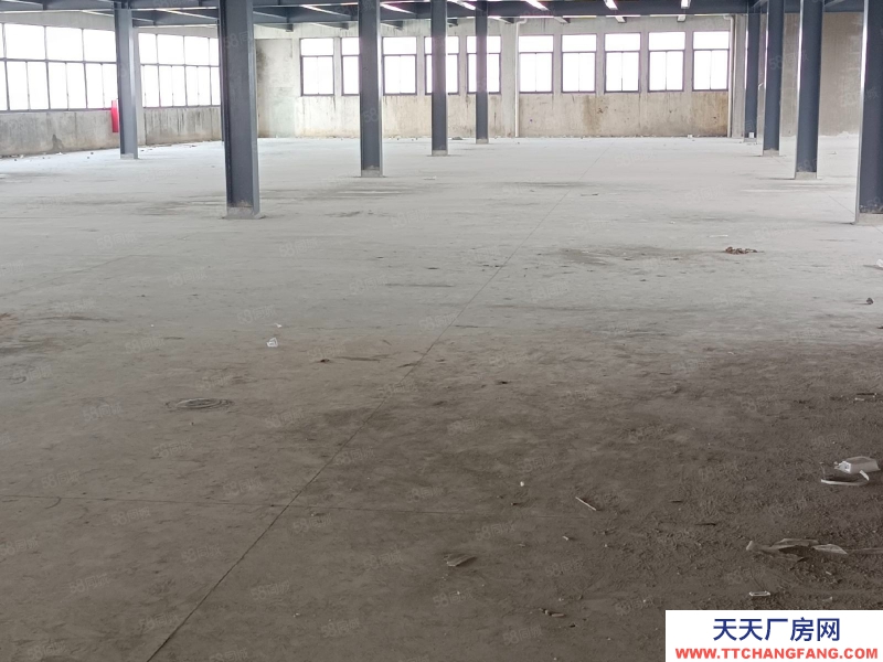 (出租) 江門(mén)江海超靚鋼構(gòu)單一層倉(cāng)庫(kù)出租!