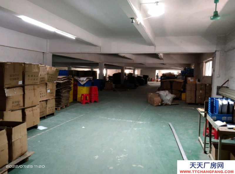 (出租) 江門江海簡易廠房可以做倉庫、車間，有電梯，直接對一手房東