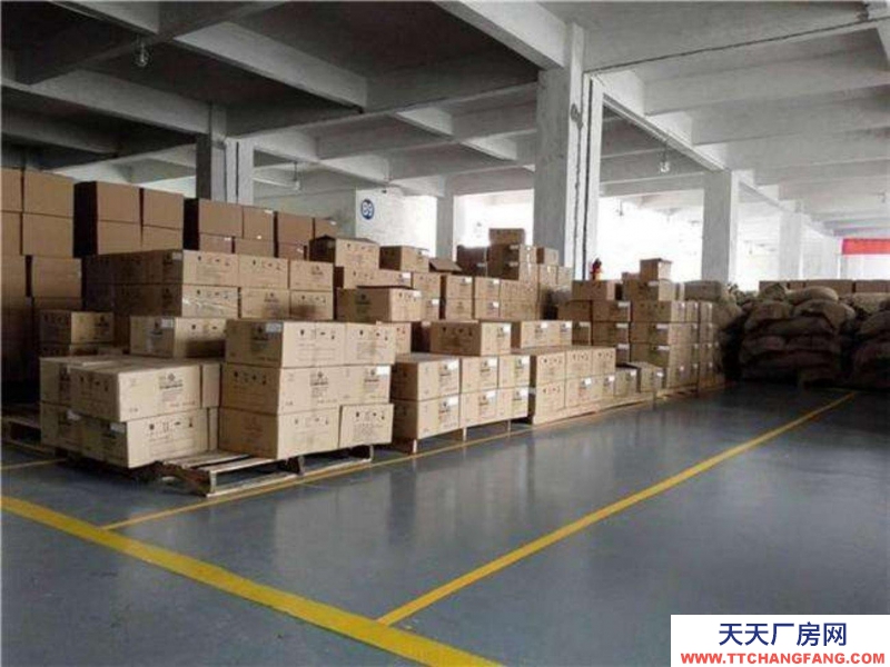 (出租) 江門臨近外海大橋,地方寬敞,單一層,可分租