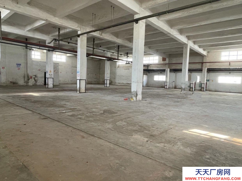 (出租) 江門新會三和大道1300平方倉庫廠房，可分租