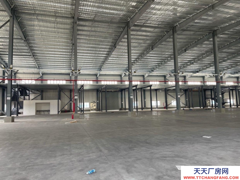 (出租) 江門新會全新廠房出租（非中介）