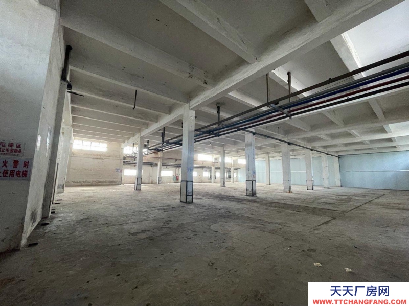 (出租) 江門新會今古洲混凝土結(jié)構(gòu)廠房倉庫出租（非中介）