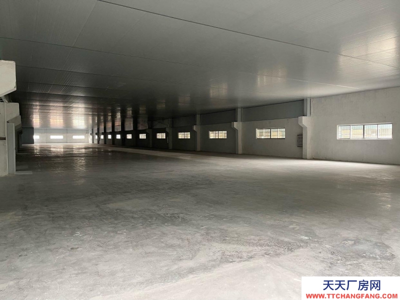 (出租) 江門新會可分割，小鳥天堂陳皮倉庫出租活動價！一手新裝修無裝修異味