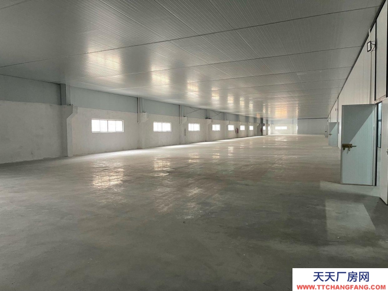 (出租) 江門新會可分割，小鳥天堂陳皮倉庫出租活動價！一手新裝修無裝修異味