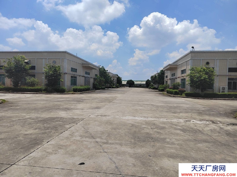 (出租) 江門臺山臺城標準倉庫1000至5000平方出租,可分租