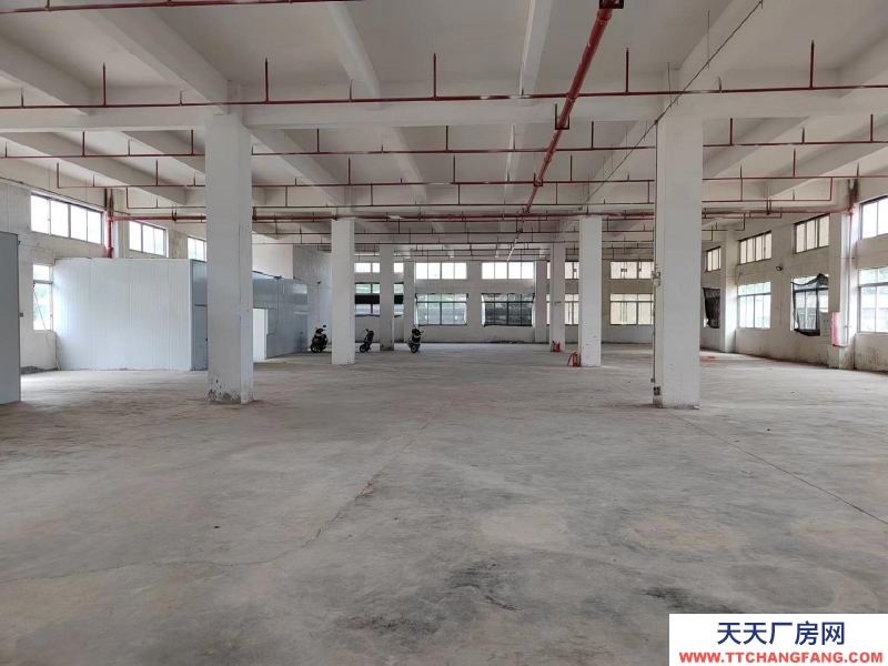 (出租) 江門(mén)臺(tái)山水步廠房倉(cāng)庫(kù)1000平方招租