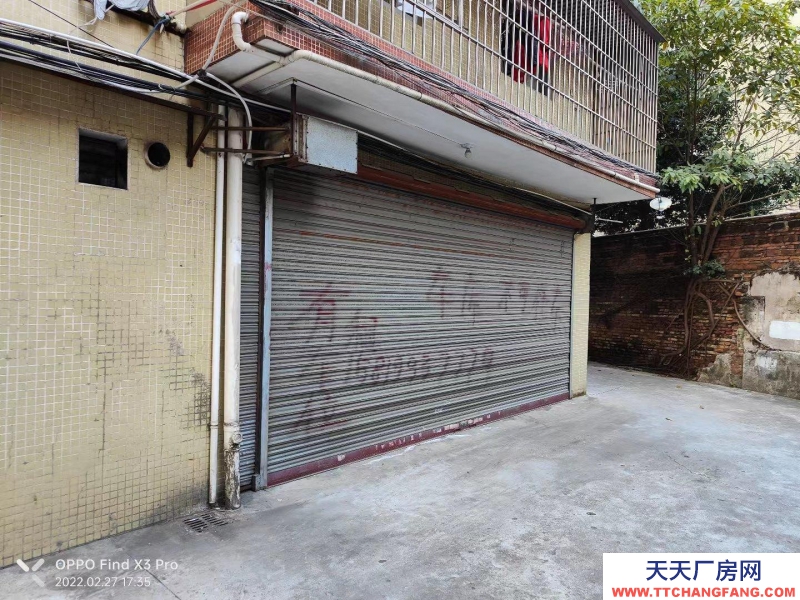 (出租) 江門臺山位置在市區 價格便宜 可以面談