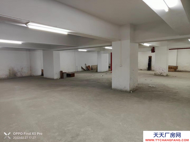 (出租) 江門臺山位置在市區 價格便宜 可以面談