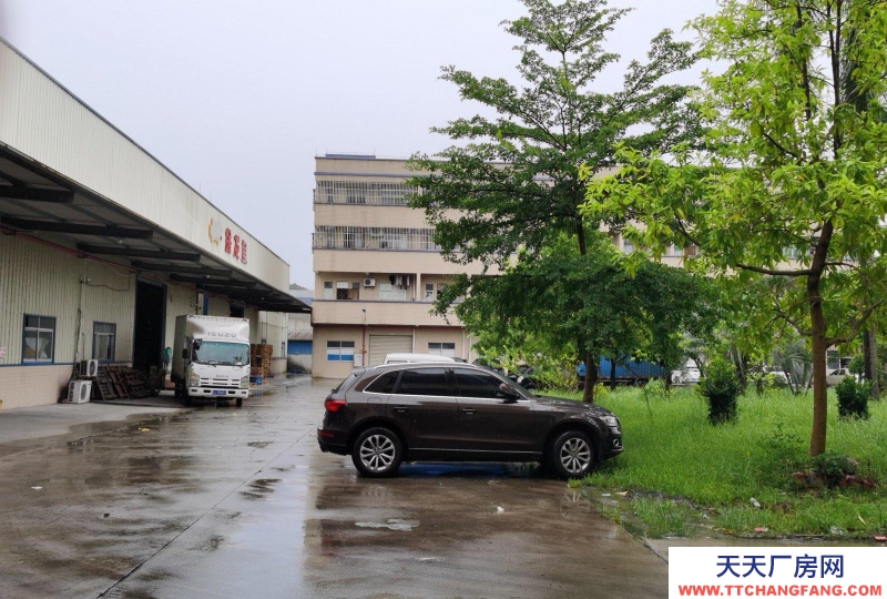 (出租) 江門開平環境優美，交通便利，地勢高，不擔心水浸