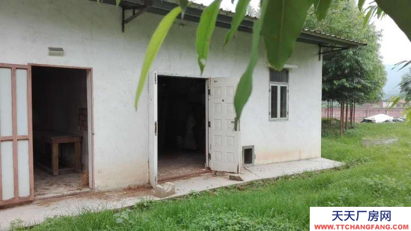 (出租) 江門開平市沙塘鎮(zhèn)麗群鄉(xiāng)