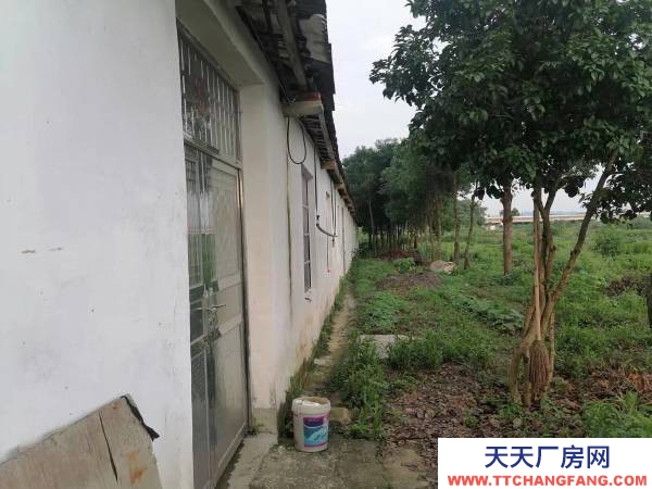 岳陽市云溪區(qū) 臨港新區(qū) 集裝箱碼頭附近小型倉庫,廠房出租(無任何中介費(fèi)用)