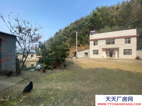 郴州市蘇仙區 潘家灣附近房東自建標準廠房倉庫優價出租可分租