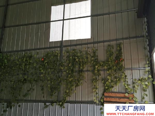 郴州市蘇仙區(qū) 空間大 面積闊 交通便利