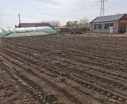 (出售) 寧江奔不來村有一六間瓦房出租出售