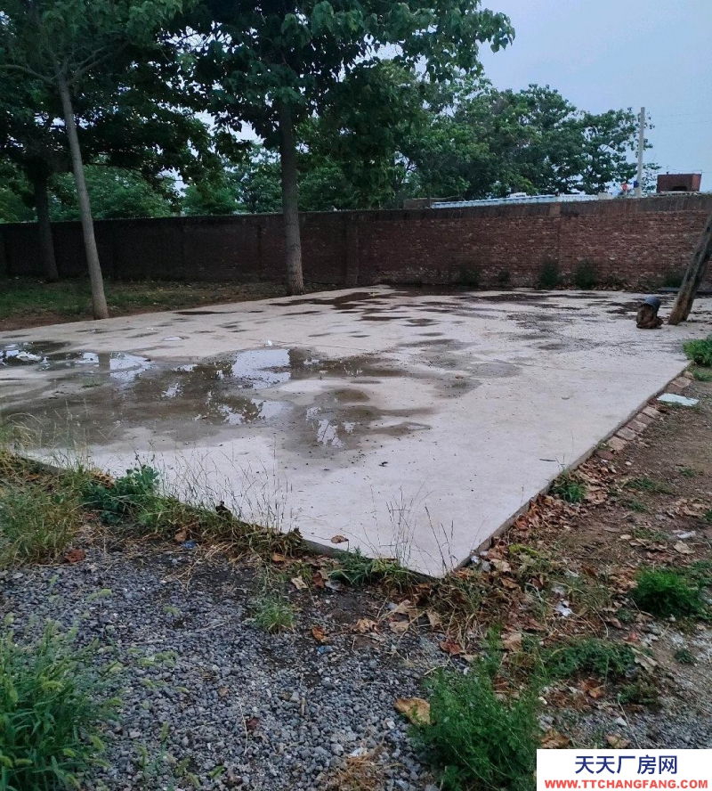 邢臺(tái) 橋東區(qū) (出租) 個(gè)人大院,水電齊全,交通便利