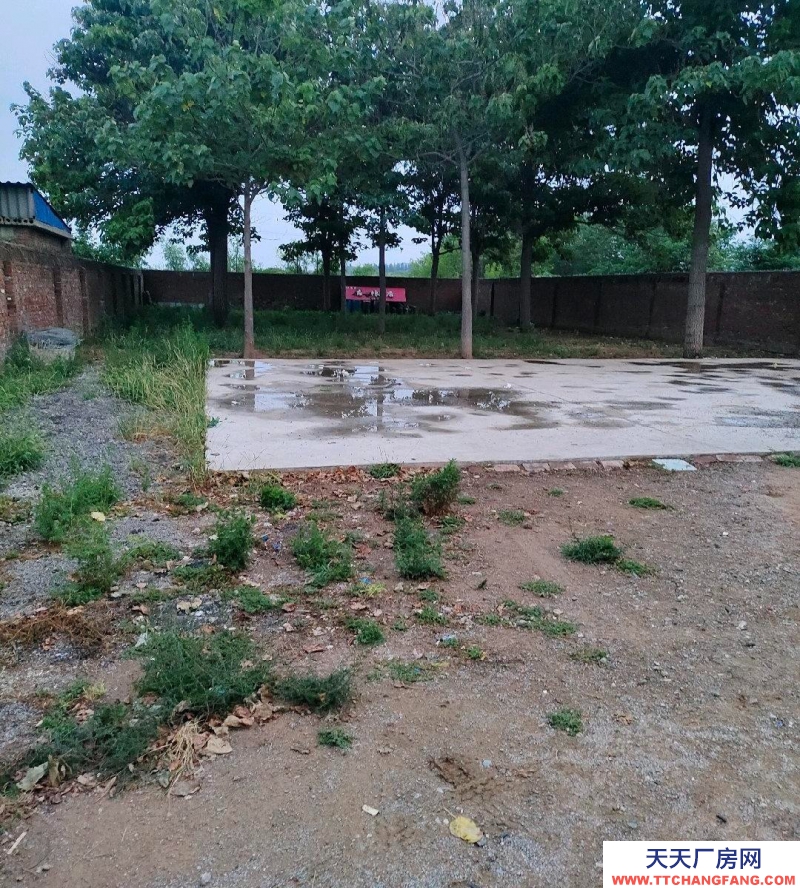 邢臺(tái) 橋東區(qū) (出租) 個(gè)人大院,水電齊全,交通便利