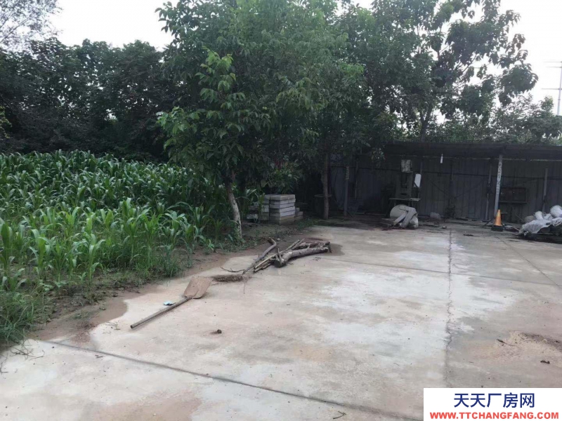 邢臺 橋東區(qū) (出租) 高開區(qū)王快鎮(zhèn)前樓下廠房倉庫出租