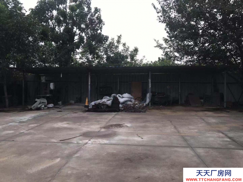 邢臺 橋東區(qū) (出租) 高開區(qū)王快鎮(zhèn)前樓下廠房倉庫出租