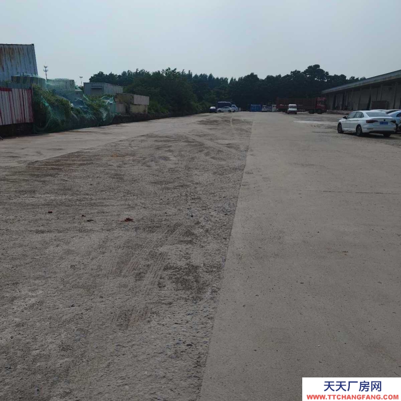 邢臺 橋西區 (出租) 出租橋西邢州大道倉庫場地